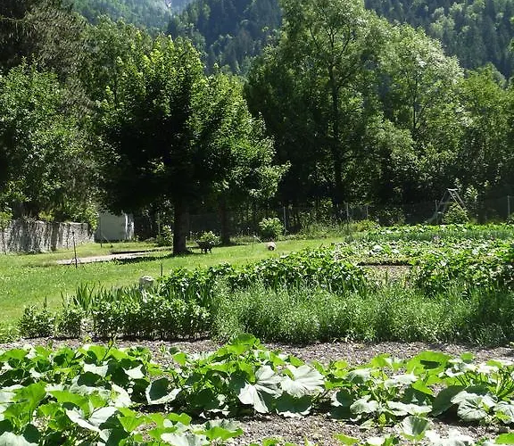 Chateau De La Muzelle